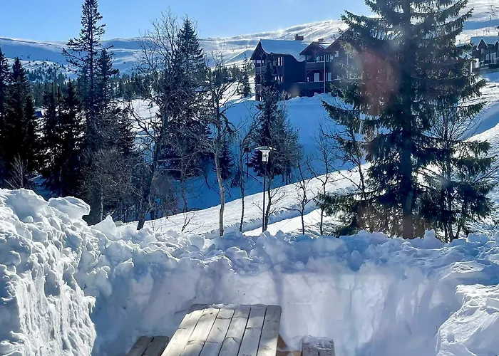 Trysilfjellet Nord 1071b *